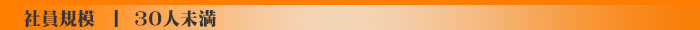 30人未満